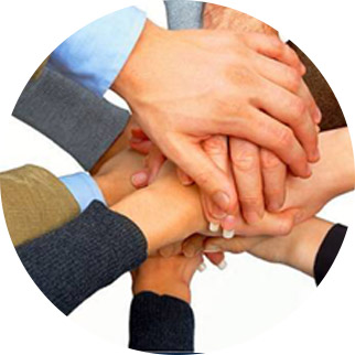 强大的设计团队